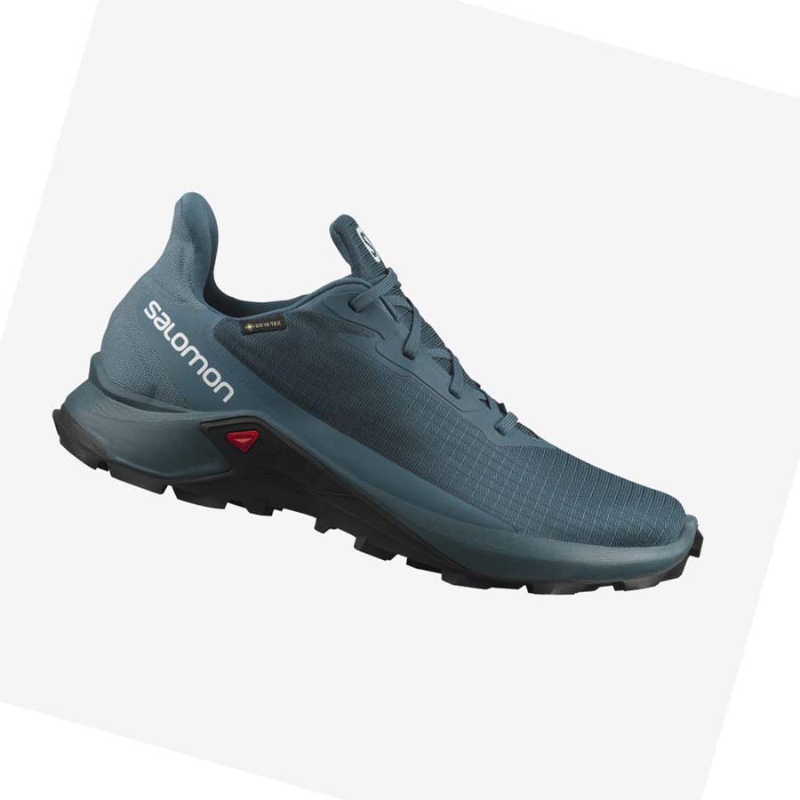 Tenis Para Trail Running Salomon ALPHACROSS 3 GORE-TEX Hombre Azules | MX 3538QMA